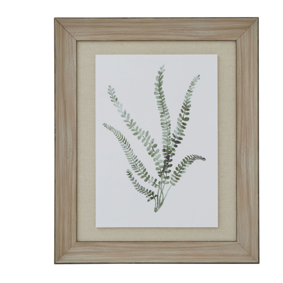 Watercolour Delicate Fern In Washed Wood Frame