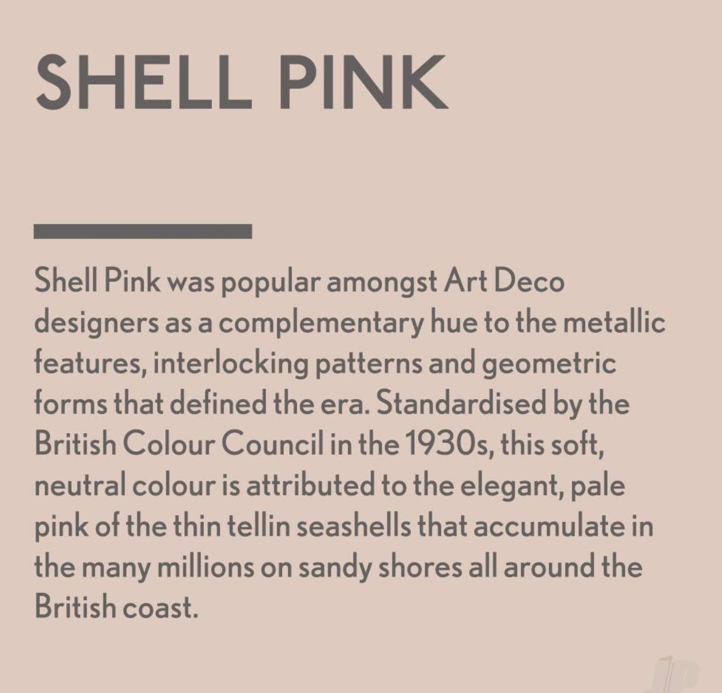 Shell Pink - Jubilee Paint