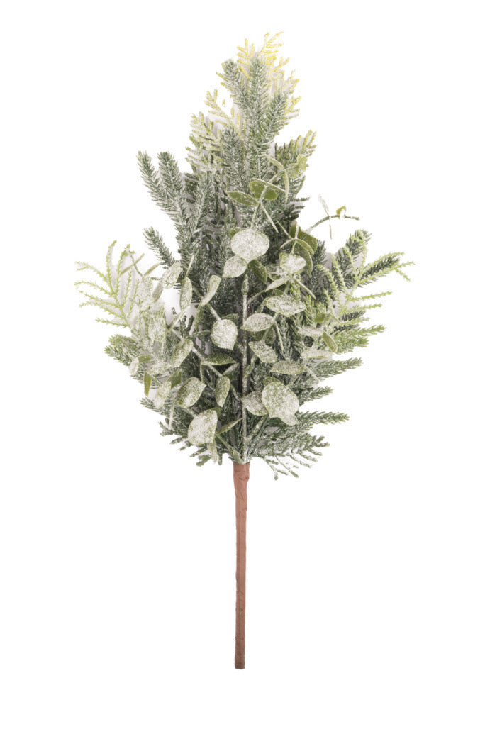 Frosted Eucalyptus And Fern Sprig