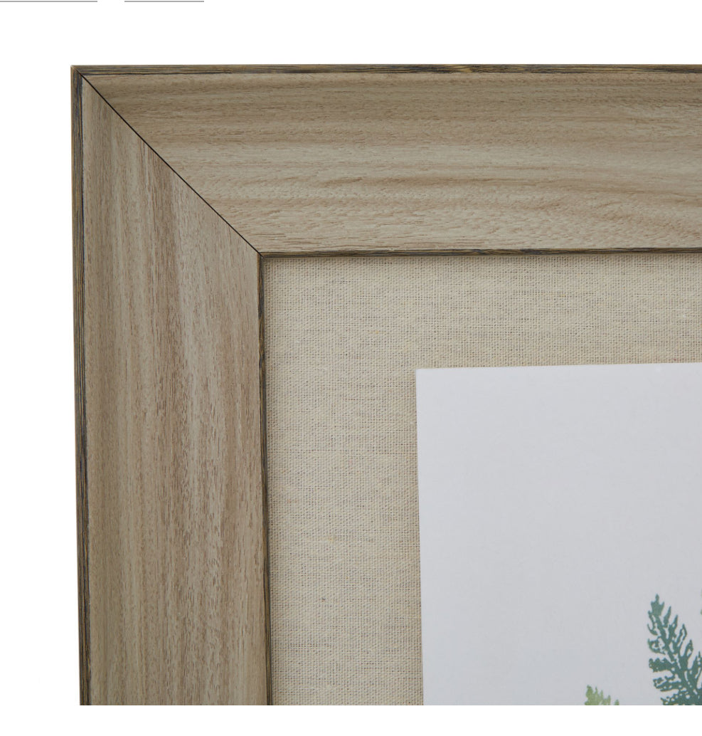 Watercolour Fern Duo In Washed Wood Frame