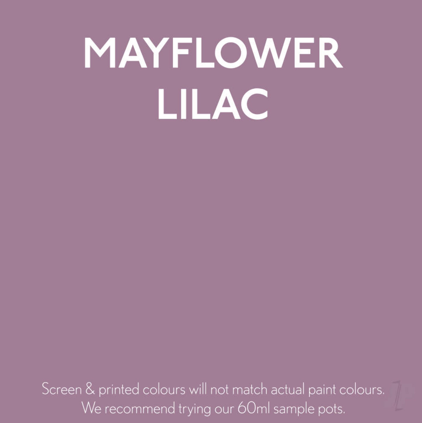 Mayflower Lilac