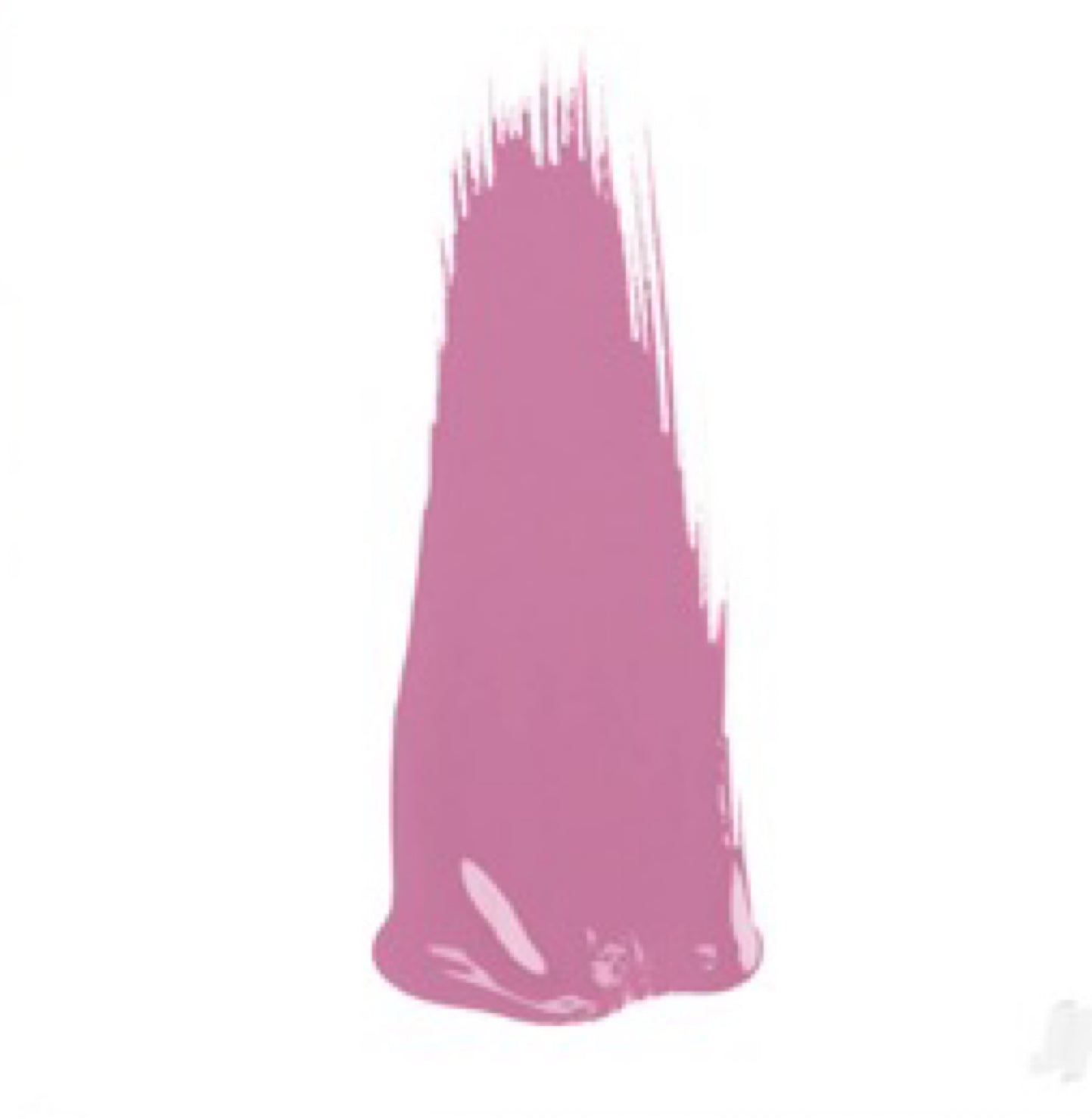 Mayflower Lilac