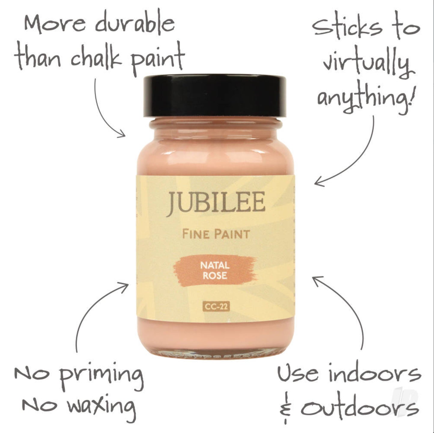 Natal Rose - Jubilee Paint