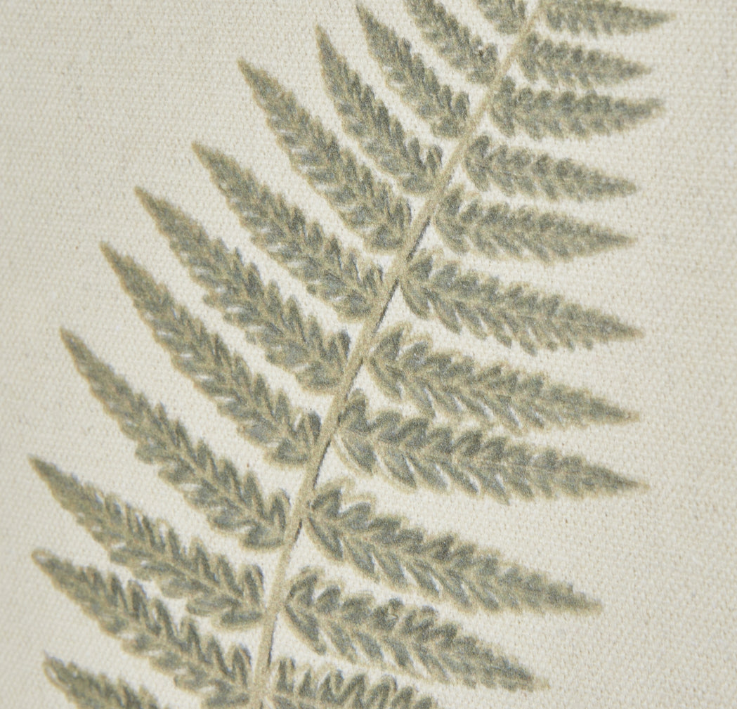 Watercolour Delicate Fern In Washed Wood Frame
