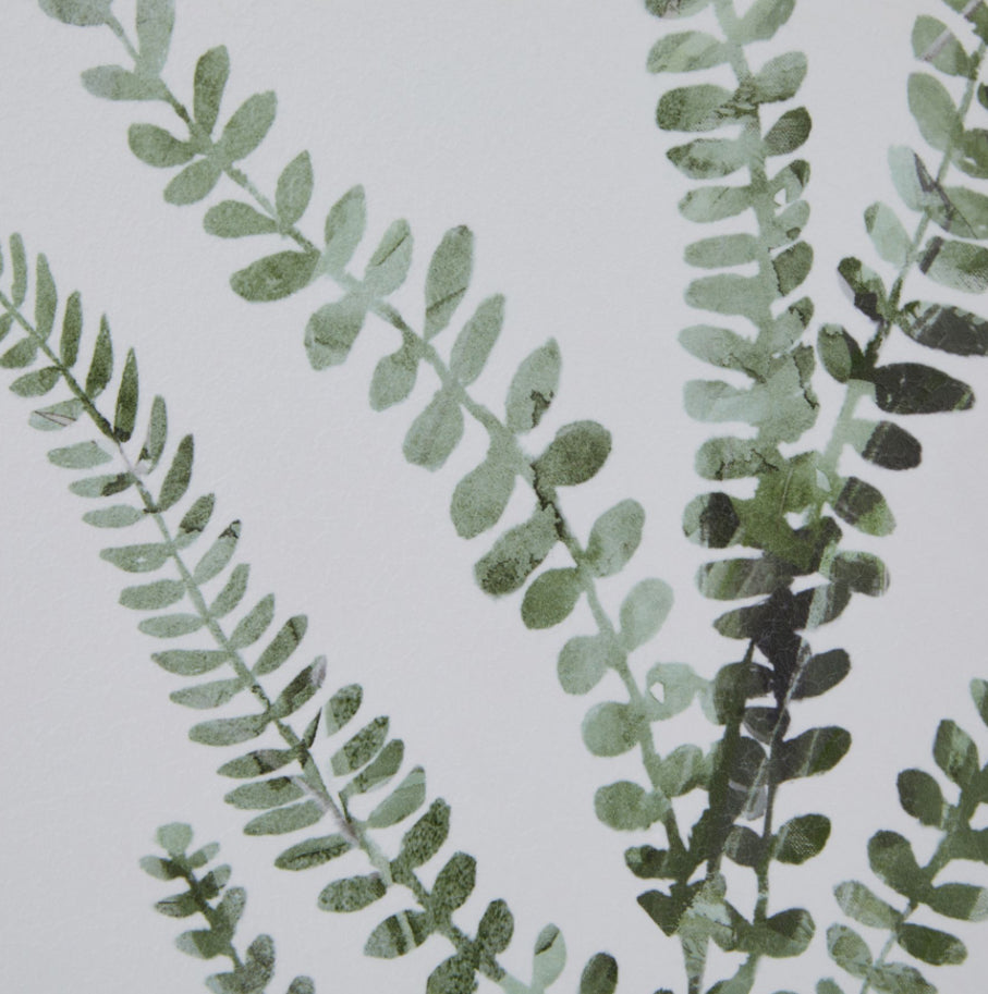 Watercolour Delicate Fern In Washed Wood Frame