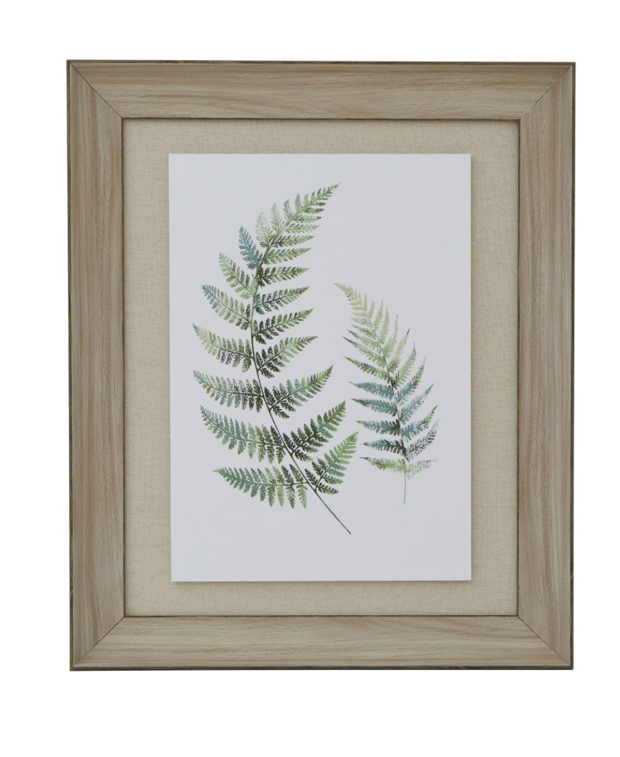 Watercolour Fern Duo In Washed Wood Frame
