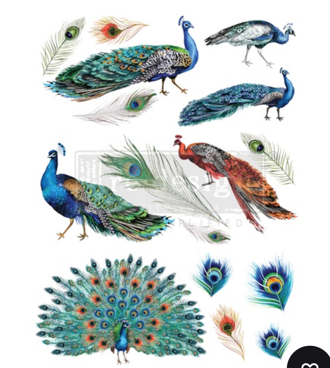 Re-Design With Prima Decor Transfers - Peacock Dreams - 24” x 35”