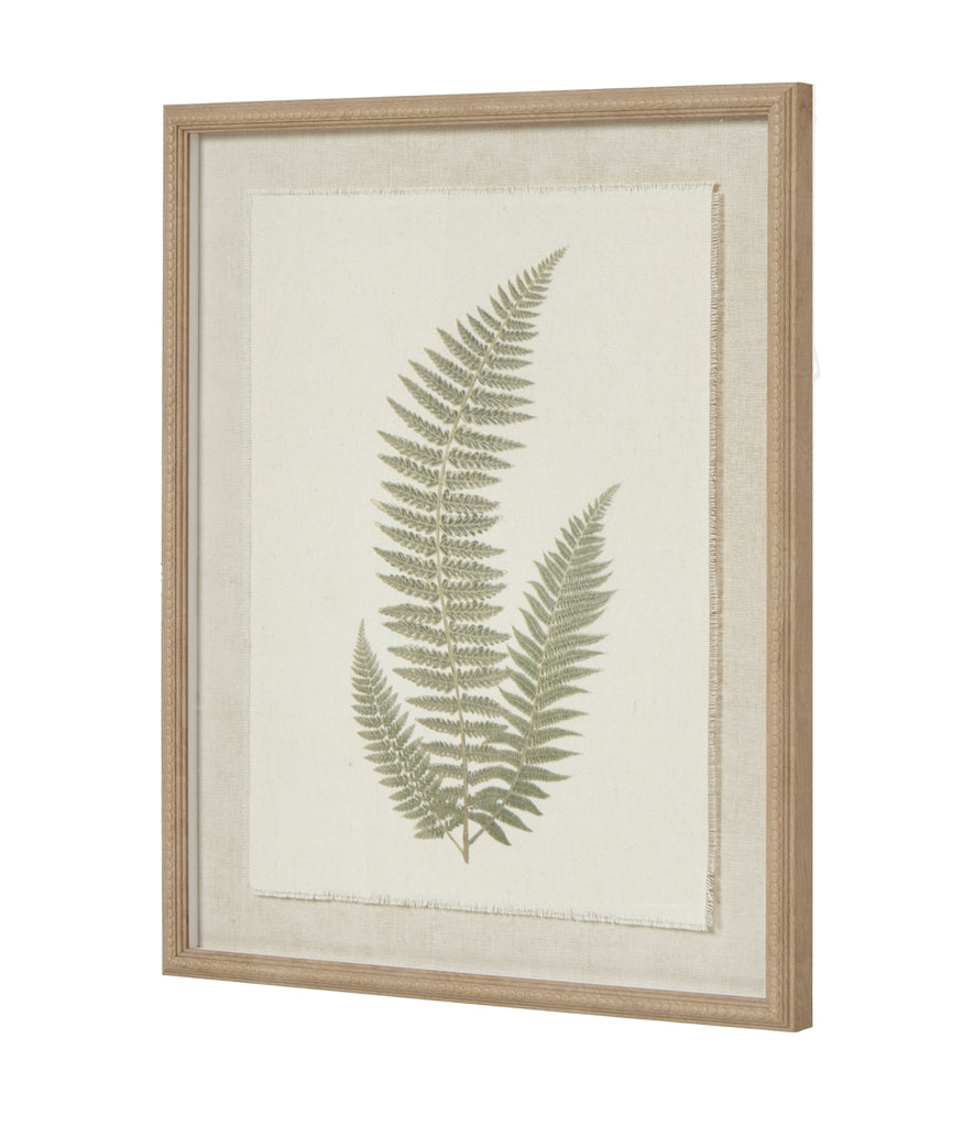 Fern Art On Texture - Torn Paper With Beaded Frame