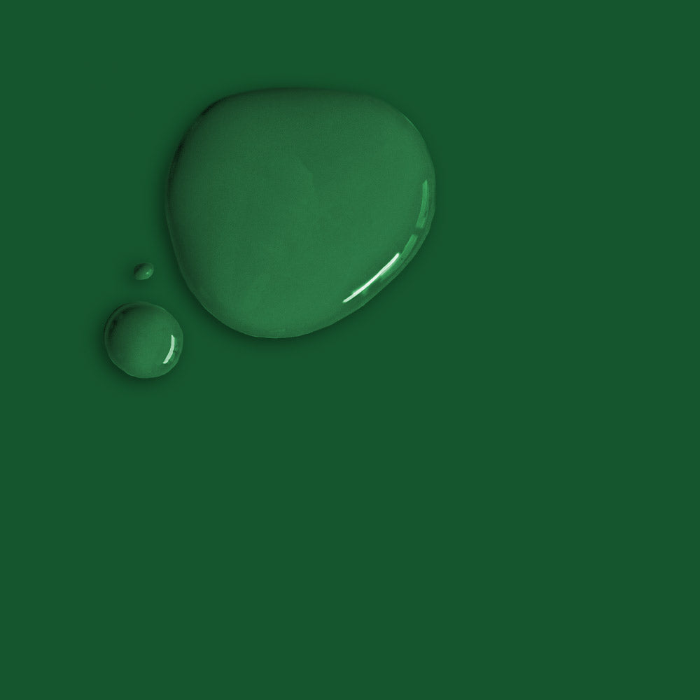 Amsterdam Green Annie Sloan Chalk Paint™