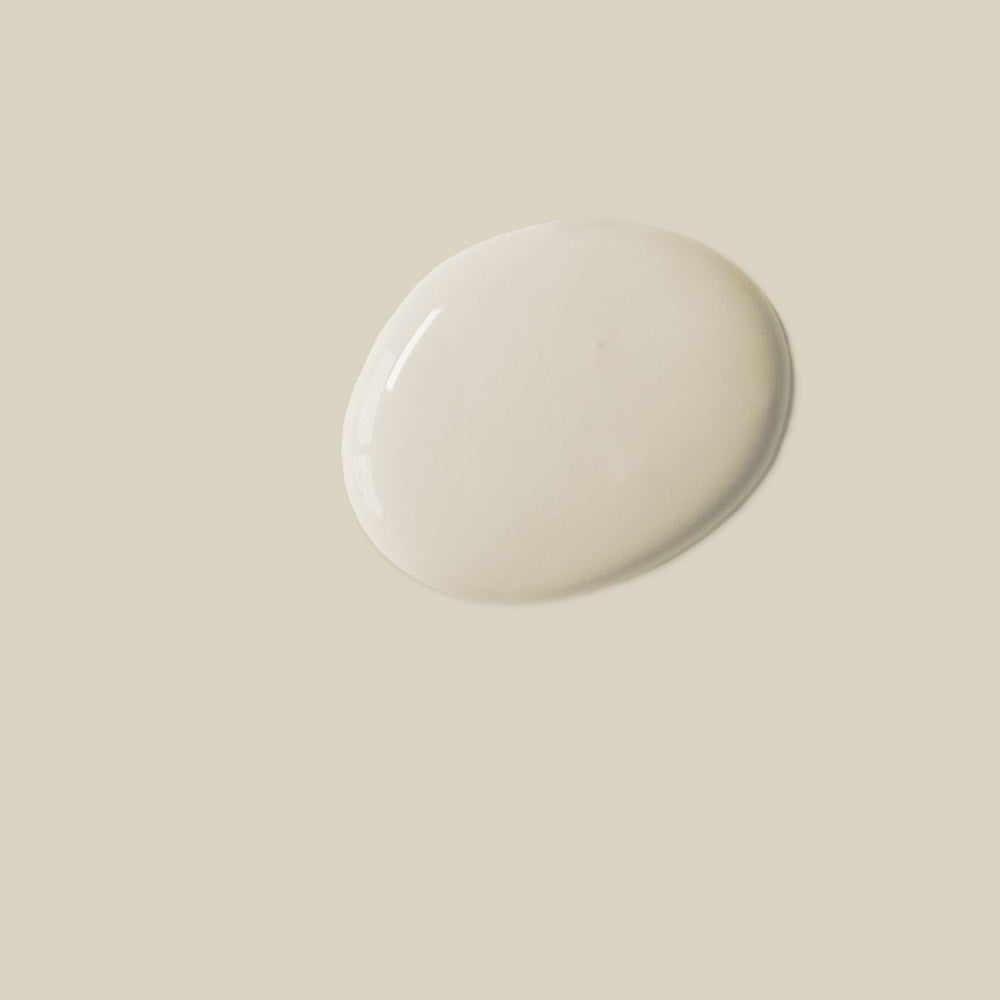 Canvas Annie Sloan Satin Paint 750ml
