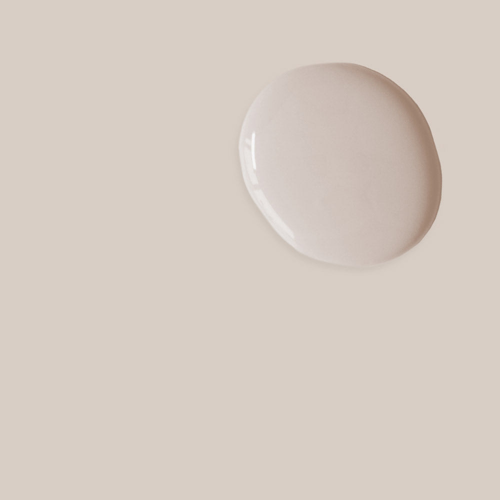 Pointe Silk Annie Sloan Satin Paint 750ml