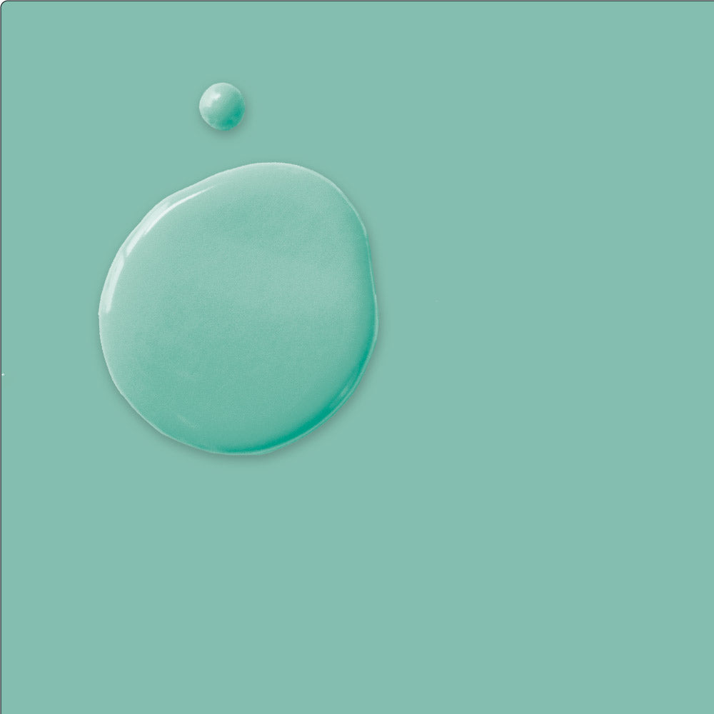 Provence Annie Sloan Chalk Paint™