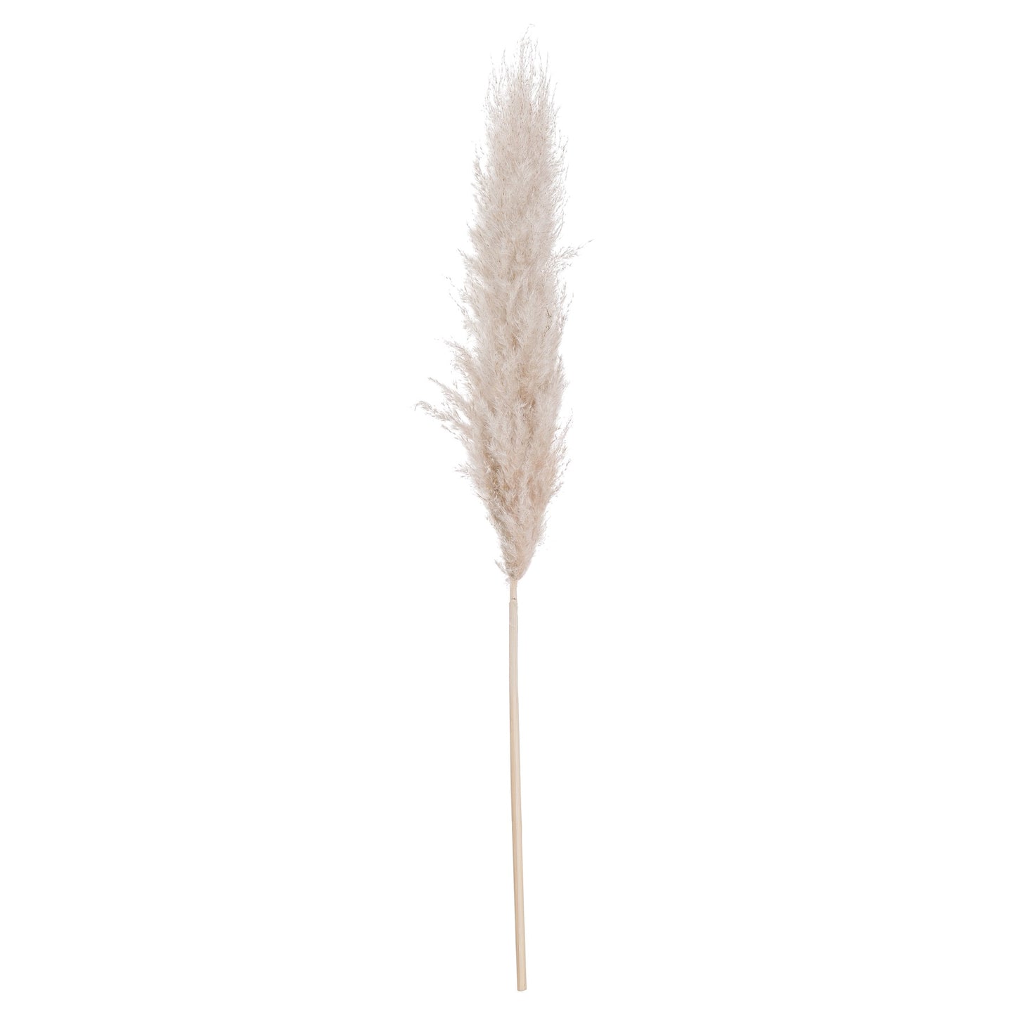 Cream Pampas Grass Stem - Unique Home Pieces