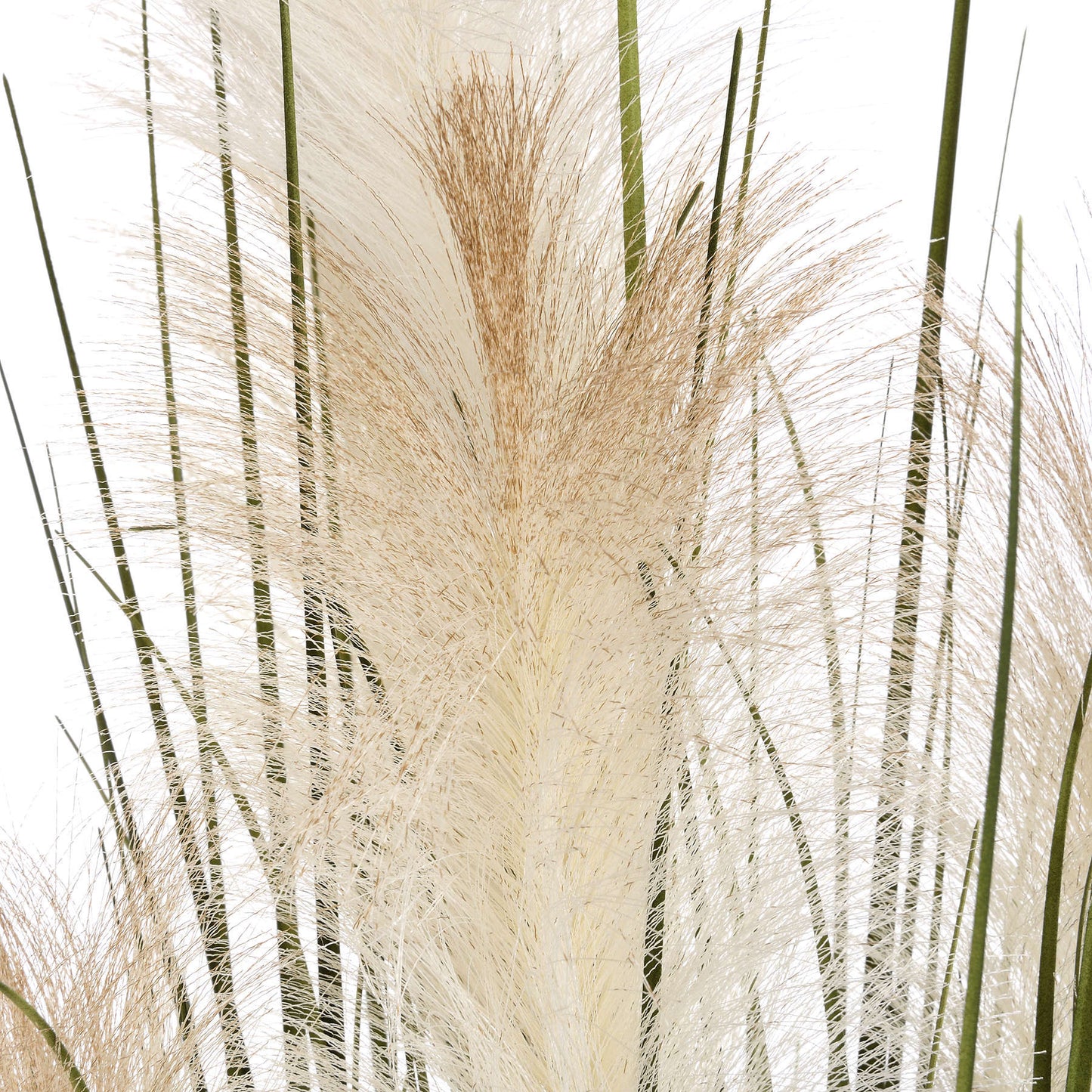 Pampas Grass Bush - Unique Home Pieces