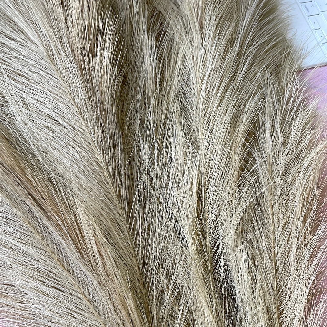 Set of 5 Natural Large Pampas Grass Stems - Unique Home Pieces