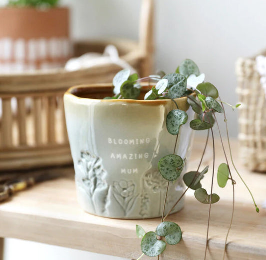 Glazed Ombré ‘Blooming Amazing Mum’ Planter