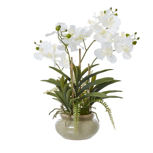 This striking Vanda orchid plant, with its delicate white blooms and lush green foliage, is a captivating addition to any space. The Vanda, a genus of orchids known for its vibrant colors and intricate patterns, boasts large, open flowers that exude a sense of natural elegance. Nestled in a charming ceramic pot, this faux floral arrangement offers a low-maintenance solution for those seeking the beauty of orchids without the demands of live plants. 