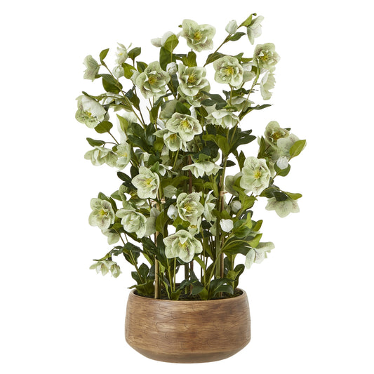 Gracefully cascading from its ceramic pot, this stunning faux orchid captivates with its delicate, life-like blooms. Crafted with meticulous attention to detail, the vibrant green phalaenopsis flowers boast a natural appearance, creating an elegant focal point in any space. This versatile accent piece complements a range of interior styles, from modern minimalist to traditional, and can be effortlessly combined with other botanicals for a lush, harmonious display. H85 X D52 X W52