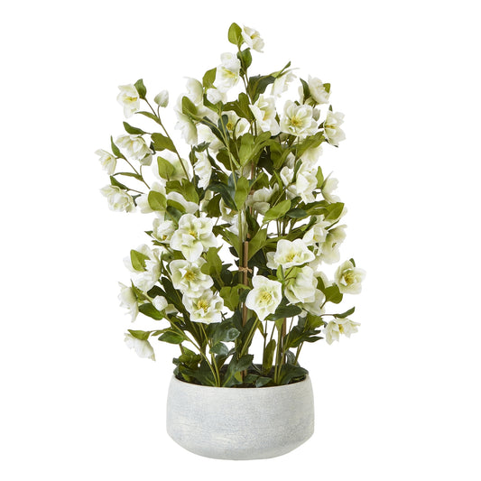 Gracefully adorning any space, our faux Hellebore arrangement in a grey pot exudes a timeless elegance. The delicate, white blooms with their vibrant centers mimic the natural beauty of the Hellebore flower, a beloved perennial also known as the Christmas Rose. Pair this piece with lush greenery or other floral accents to create a visually striking display. H85 X D52 X W52