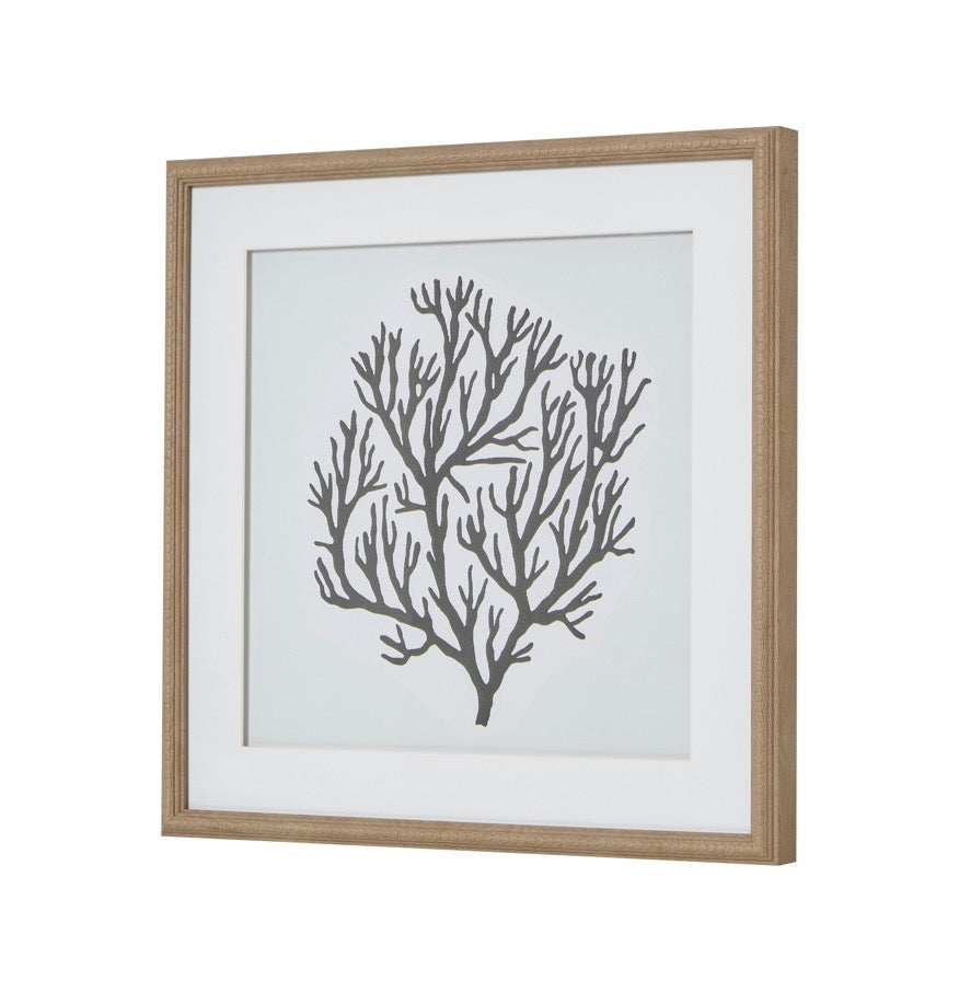 Atol Coral Art Mounted in Beaded Frame - Unique Home Pieces