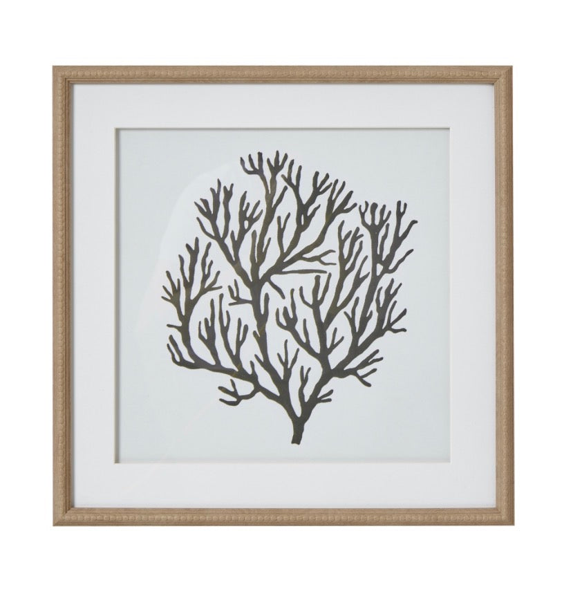 Atol Coral Art Mounted in Beaded Frame - Unique Home Pieces