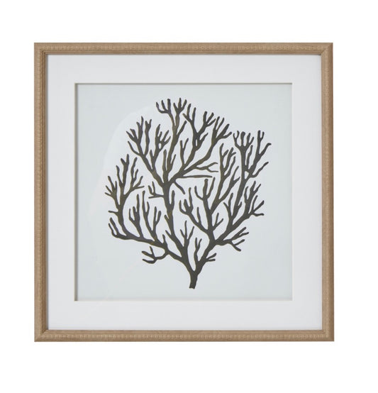 Atol Coral Art Mounted in Beaded Frame - Unique Home Pieces