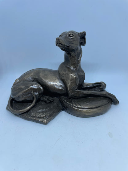 Cold Cast Bronze sitting greyhound Sculpture By Harriet Glen