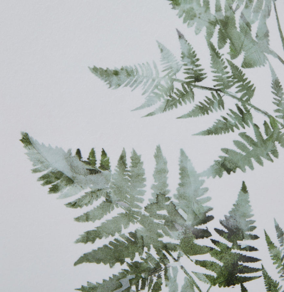 Watercolour Bracken Fern In Washed Wood Frame