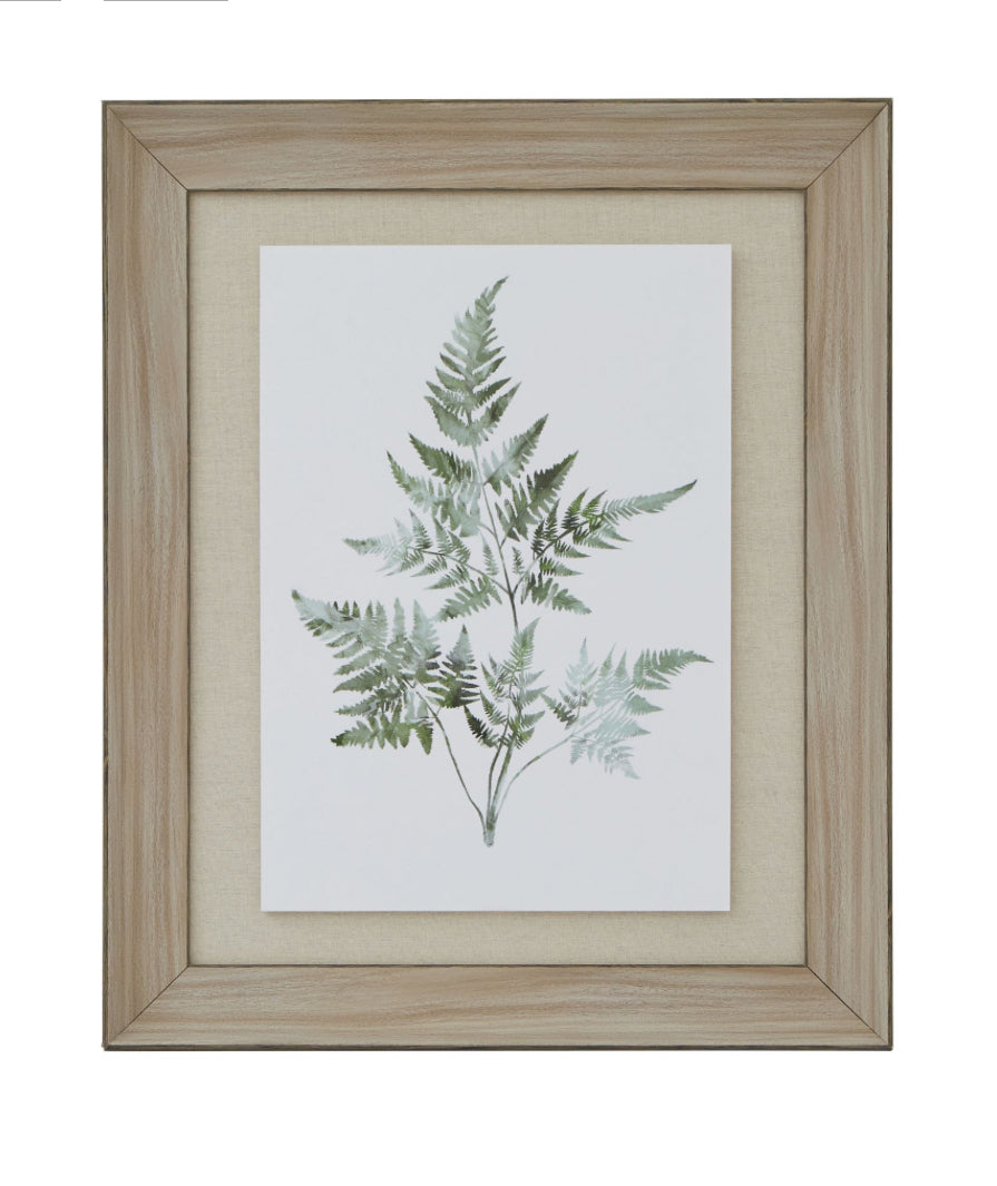 Watercolour Bracken Fern In Washed Wood Frame