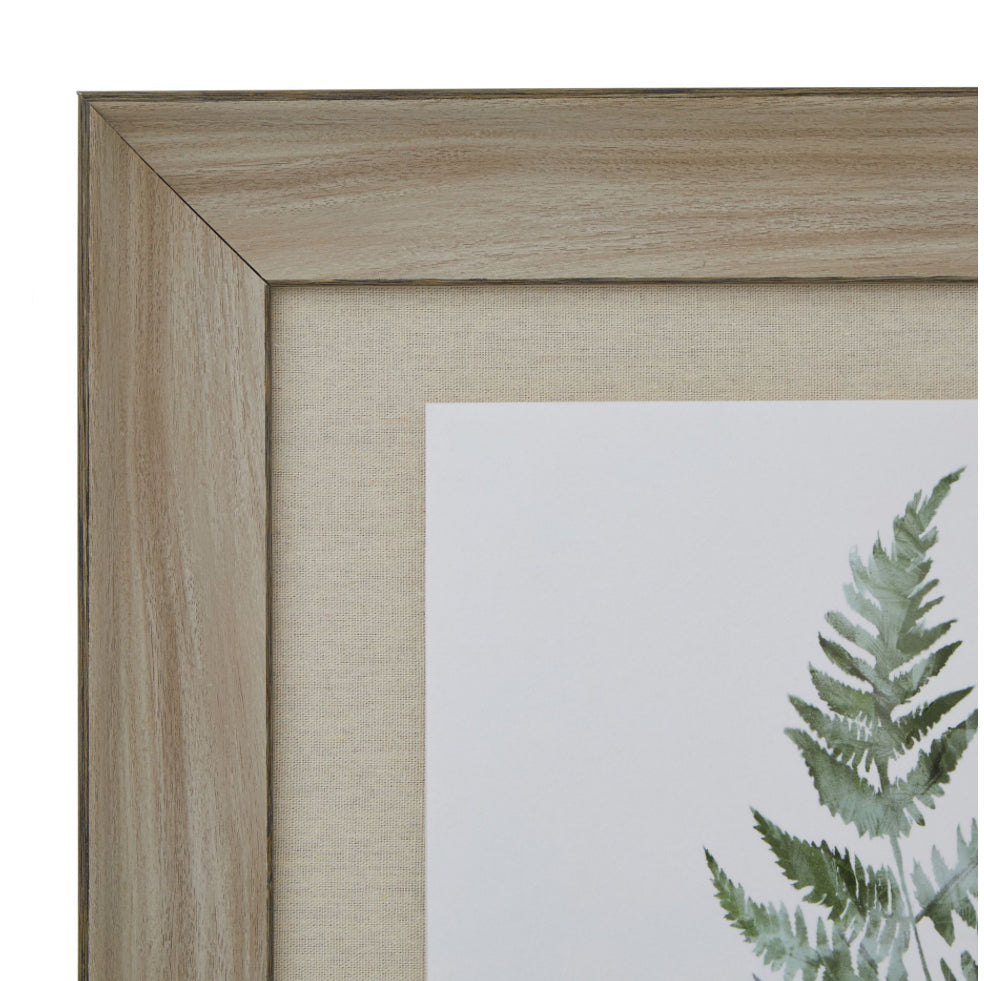 Watercolour Bracken Fern In Washed Wood Frame