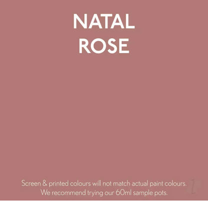 Natal Rose - Jubilee Paint