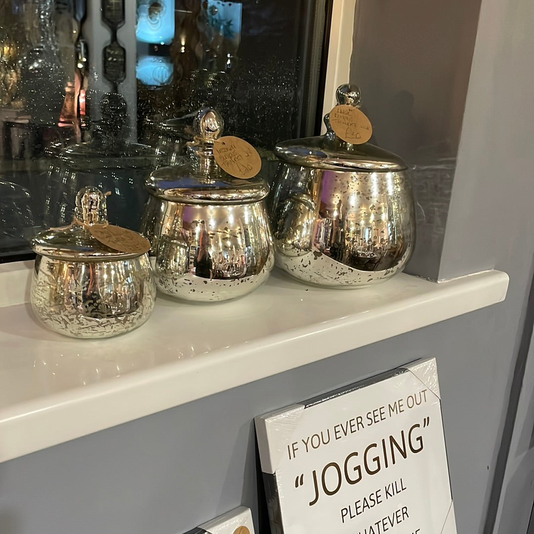 Large Silver Bulbous Trinket Jar
