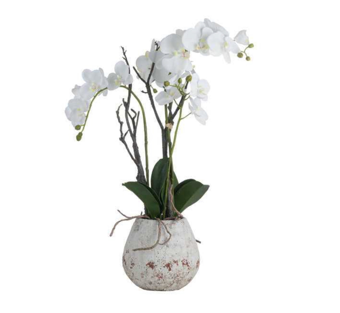 White Orchid In  Stone Pot - Unique Home Pieces