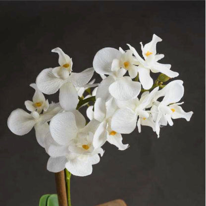 Harmony White Potted Orchid - Unique Home Pieces